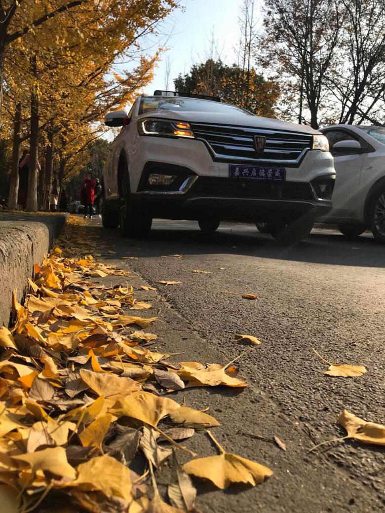 ץס����·��β��