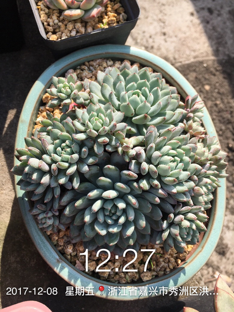 �Լ�������