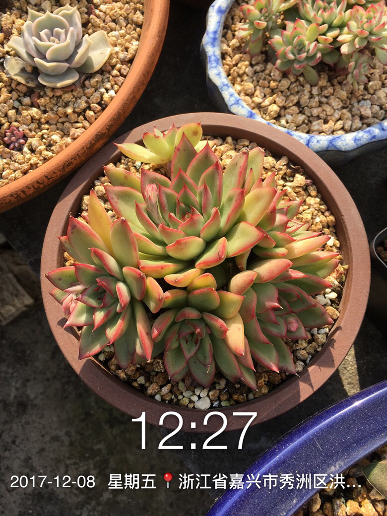 �Լ�������