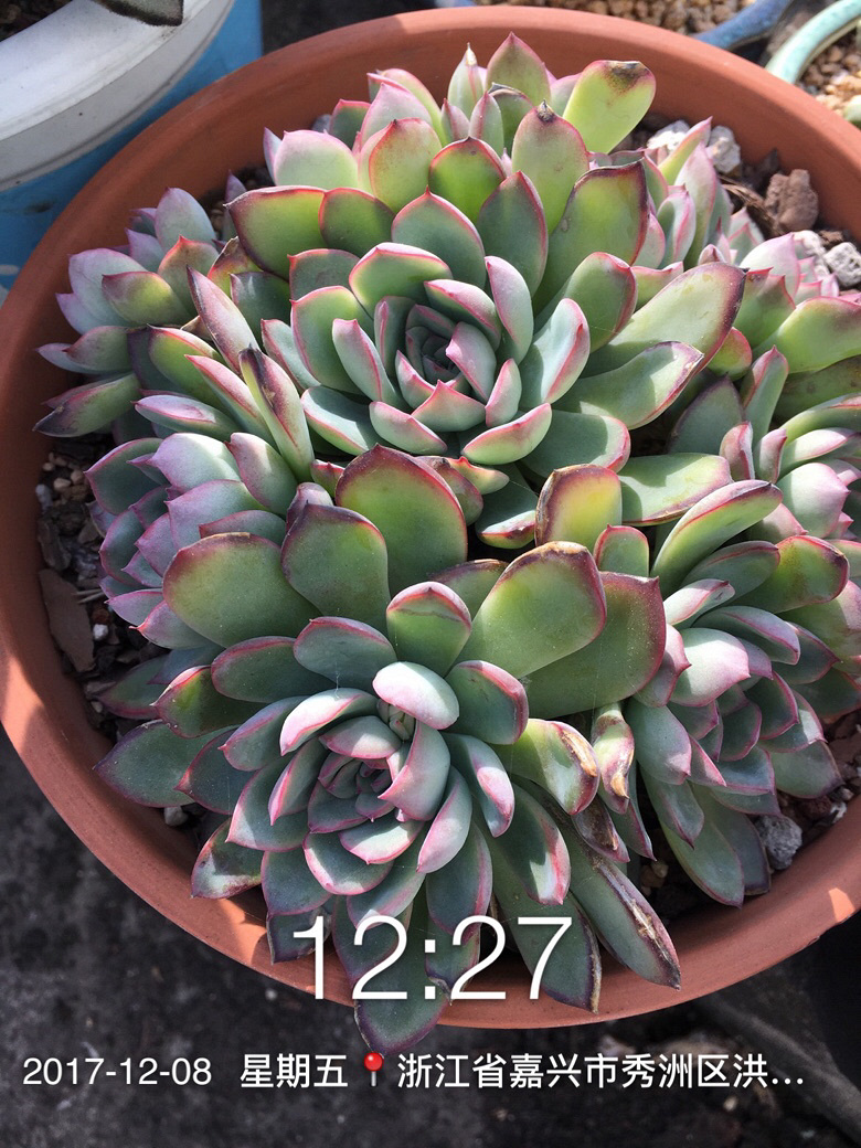 �Լ�������