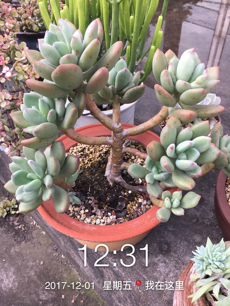 �Լ�������