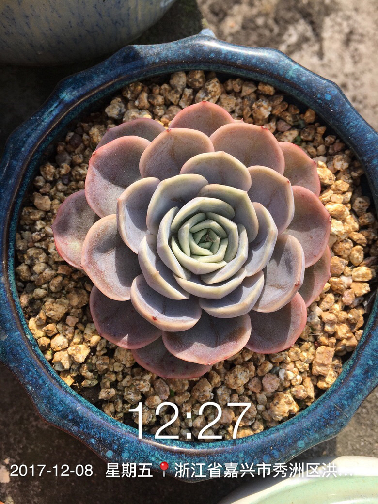 �Լ�������