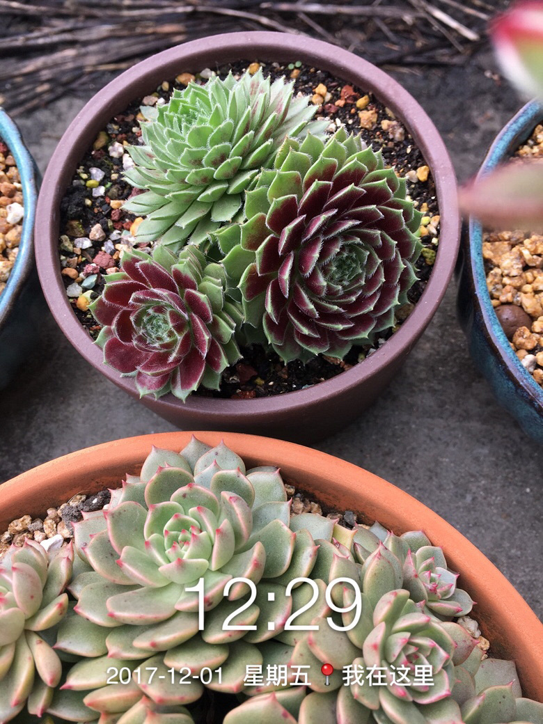 �Լ�������