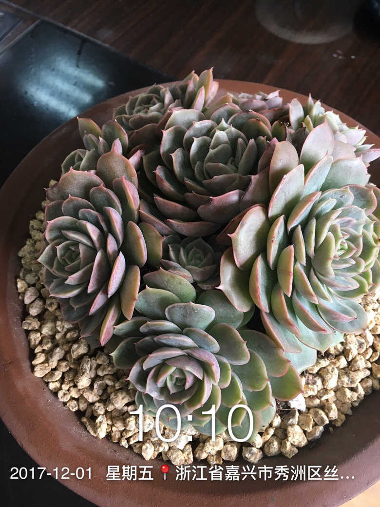 �Լ�������