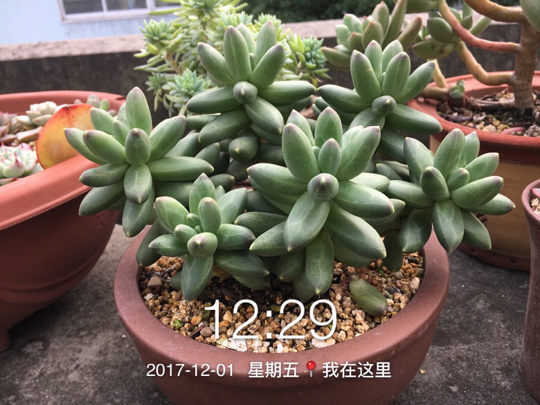 �Լ�������