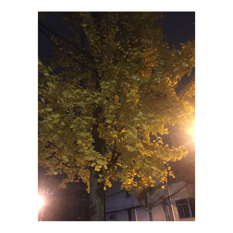 �Ͳ�һ����
