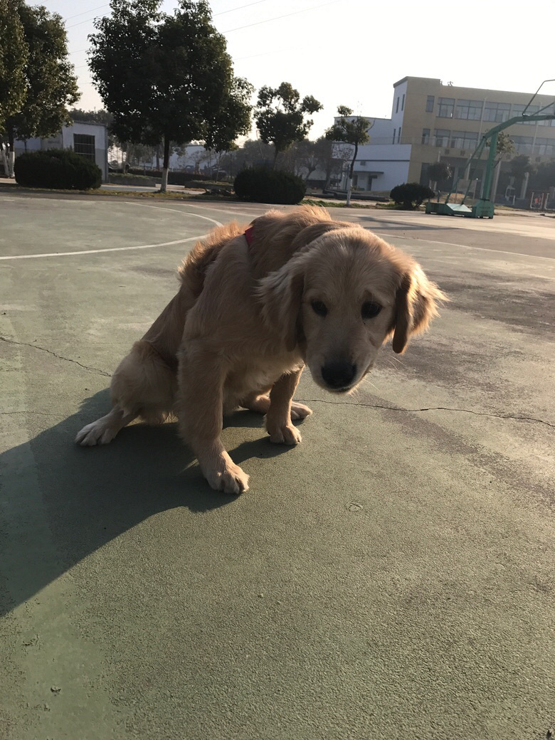 �þ�ûɹ��Ů�ˣ���������