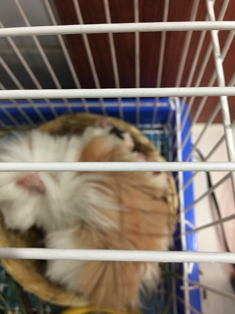 �Ҽҵĺ�������������