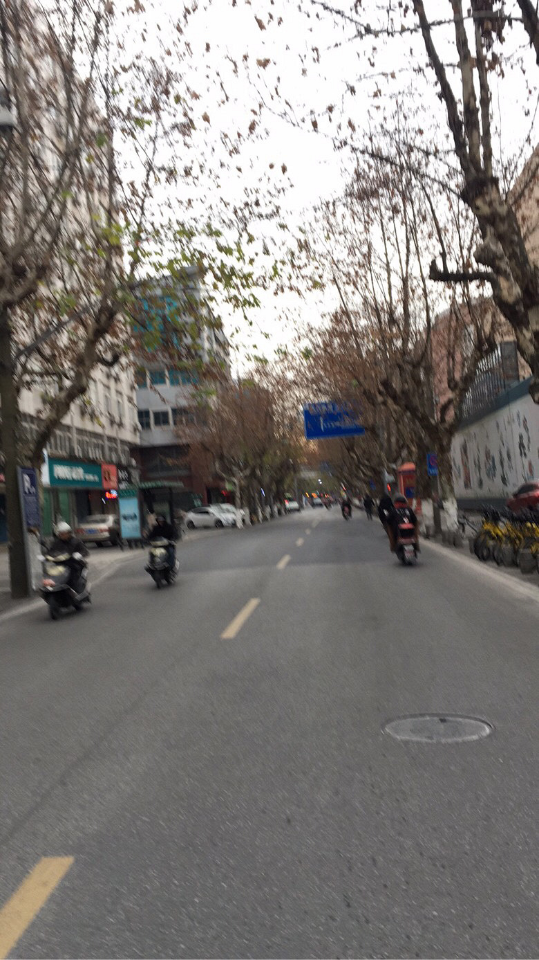 �峿���ڼ�·�������������۵�