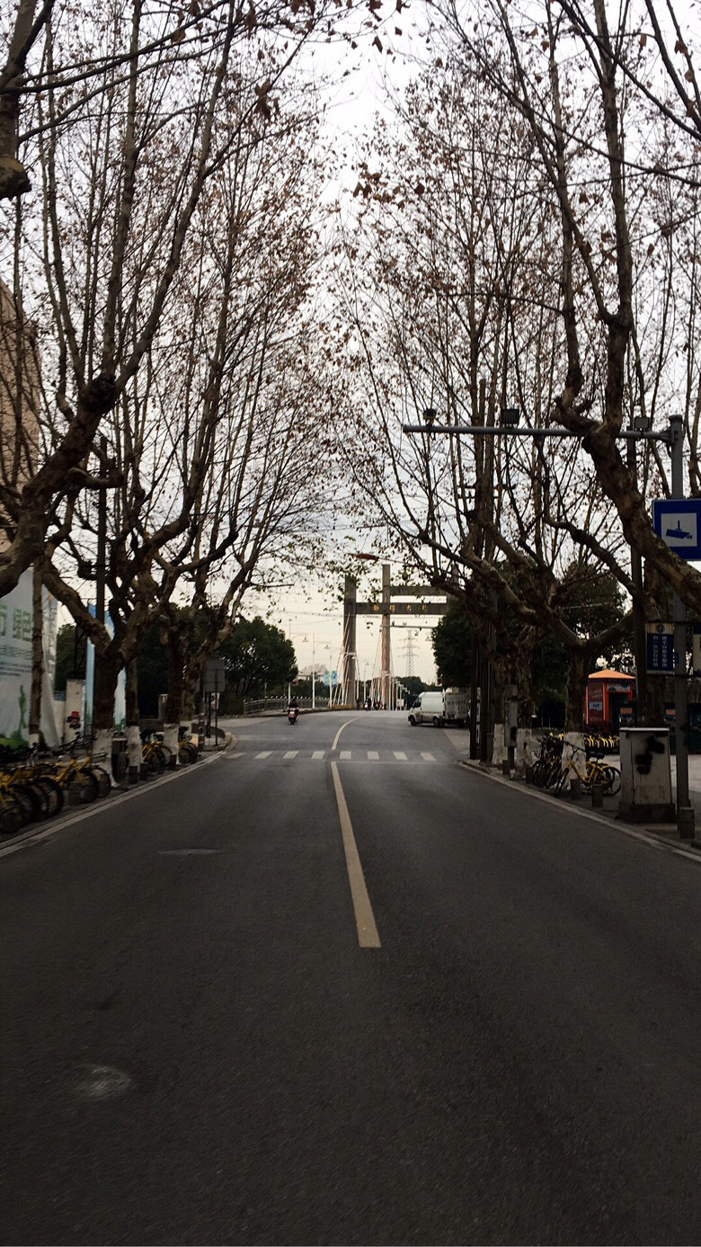 �峿���ڼ�·�������������۵�