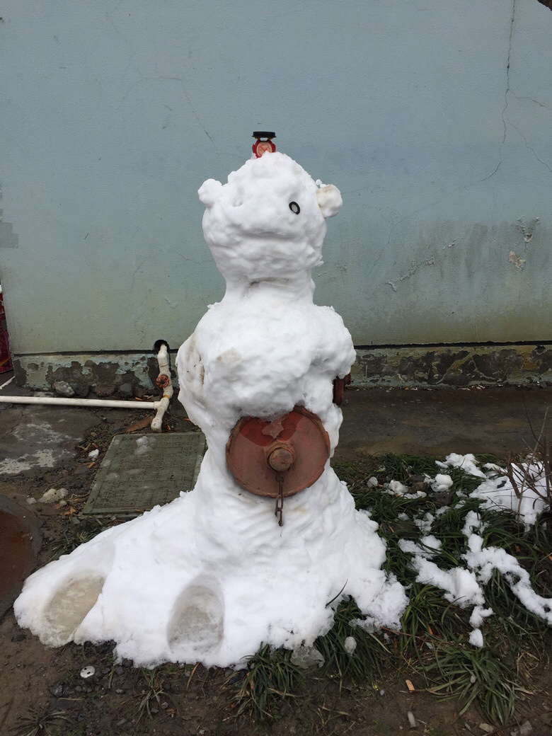 ��ѩ�������Ĳ���ѩ ���Ϸ���
