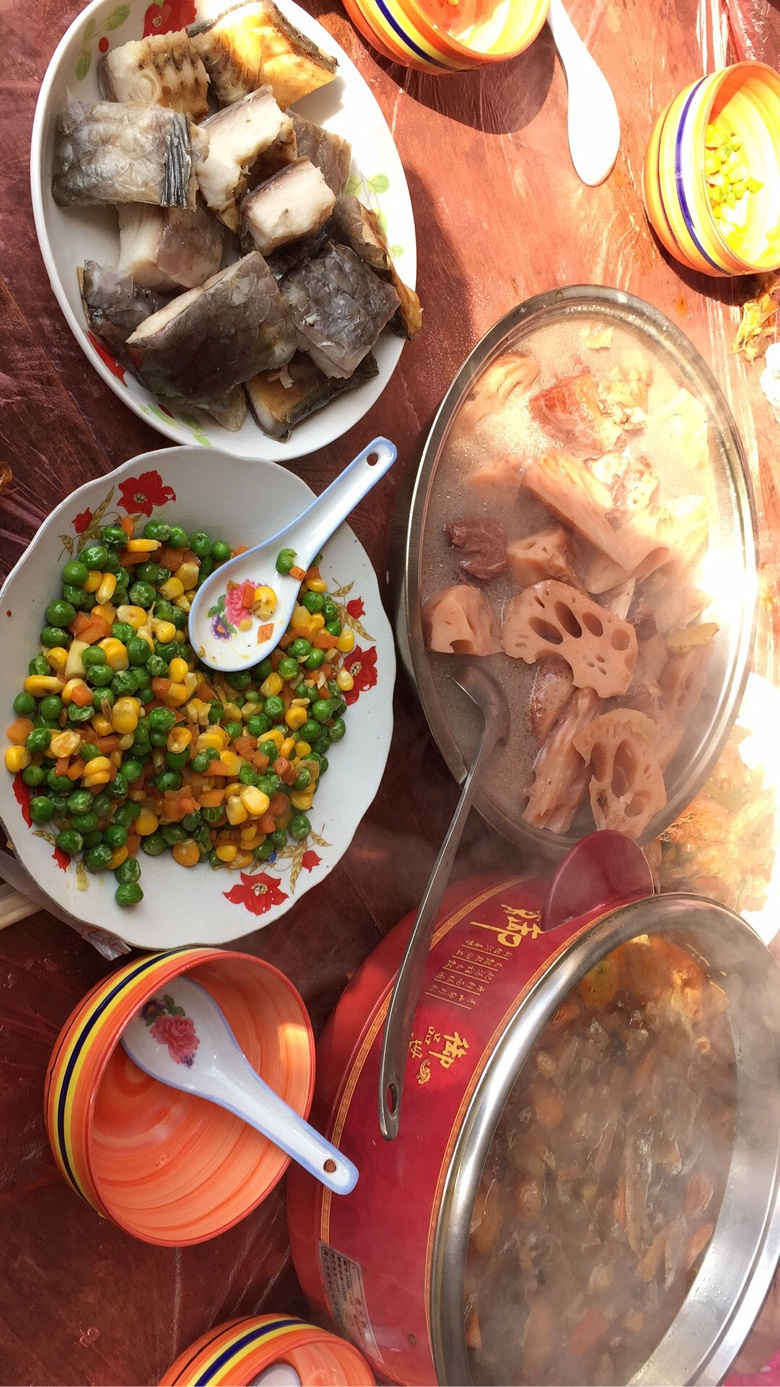 �ԳԺȺ������ϵ����