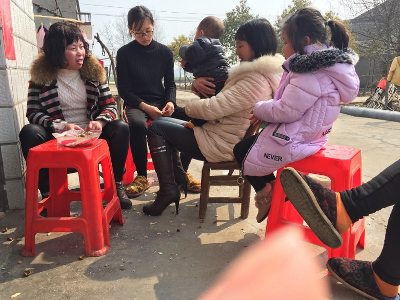 �ԳԺȺ������ϵ����