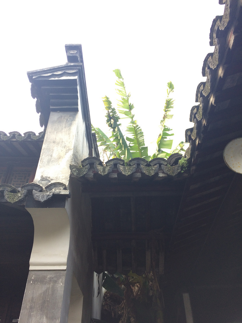 �������� (12).JPG