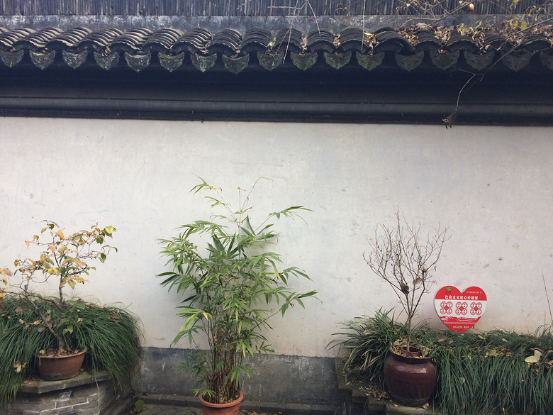 �������� (16).JPG