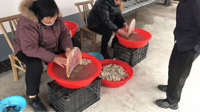 �������Ϲ���-�˼�亶ȹ�����