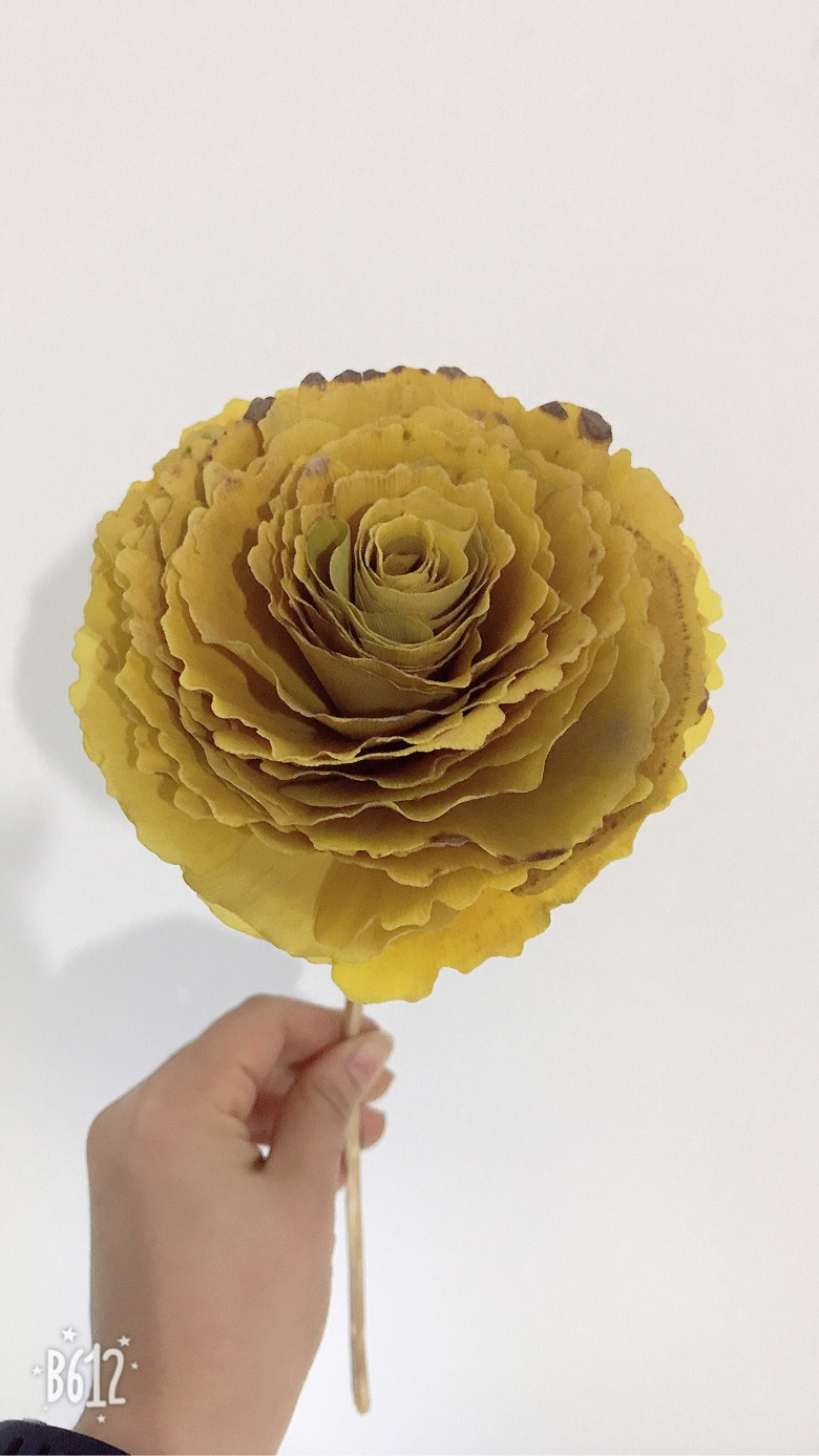 �ֹ�DIYȺ����ӭͬ�����˼���