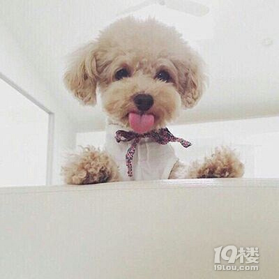 明天天气好,跟我老妈去嘉兴浪一把了。难得