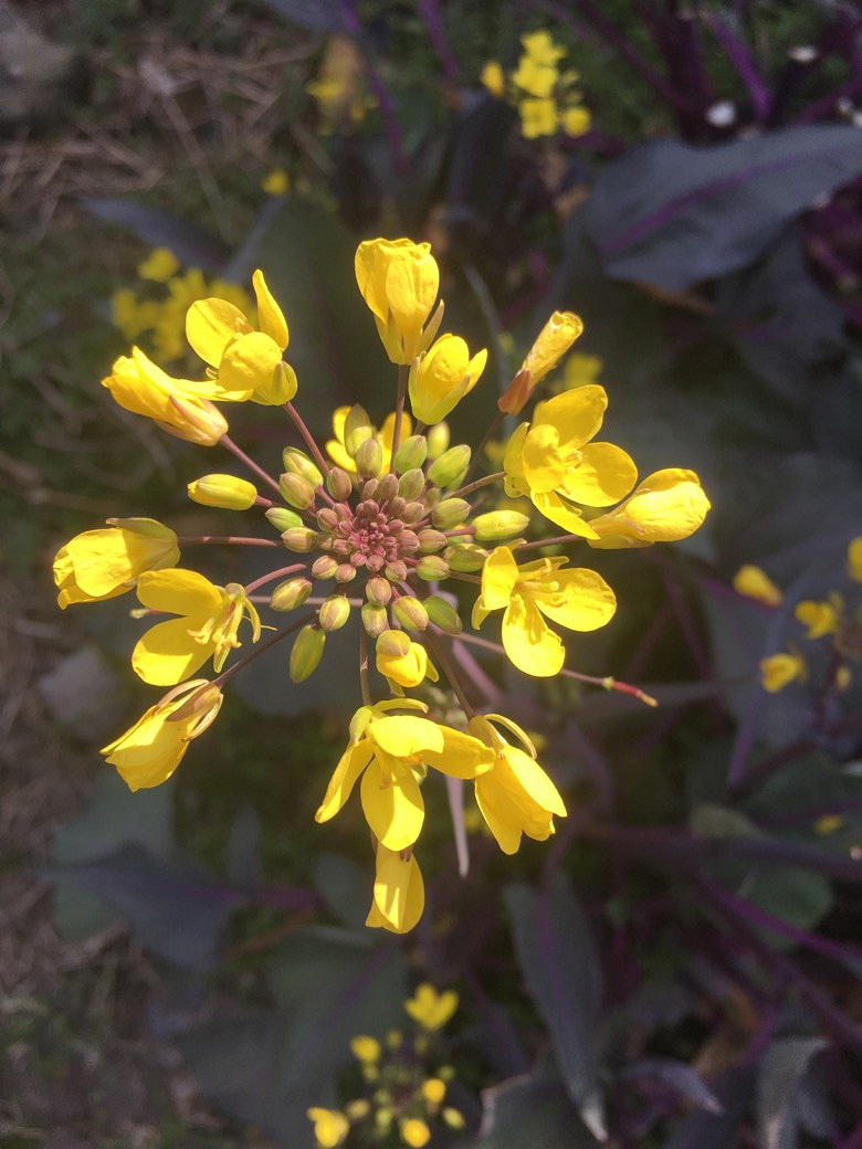 ��ů����