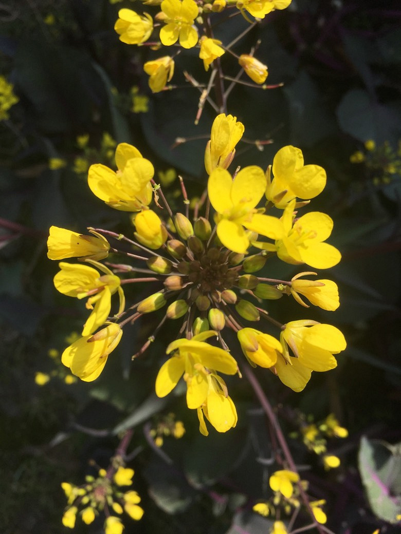 ��ů����