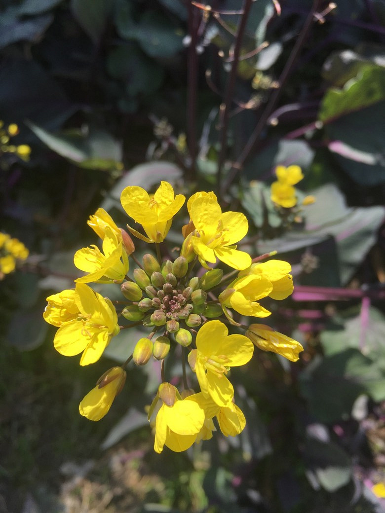 ��ů����