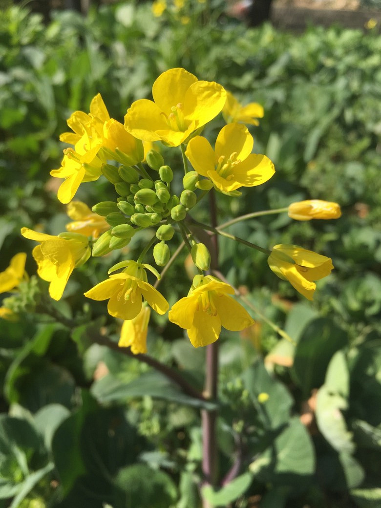 ��ů����