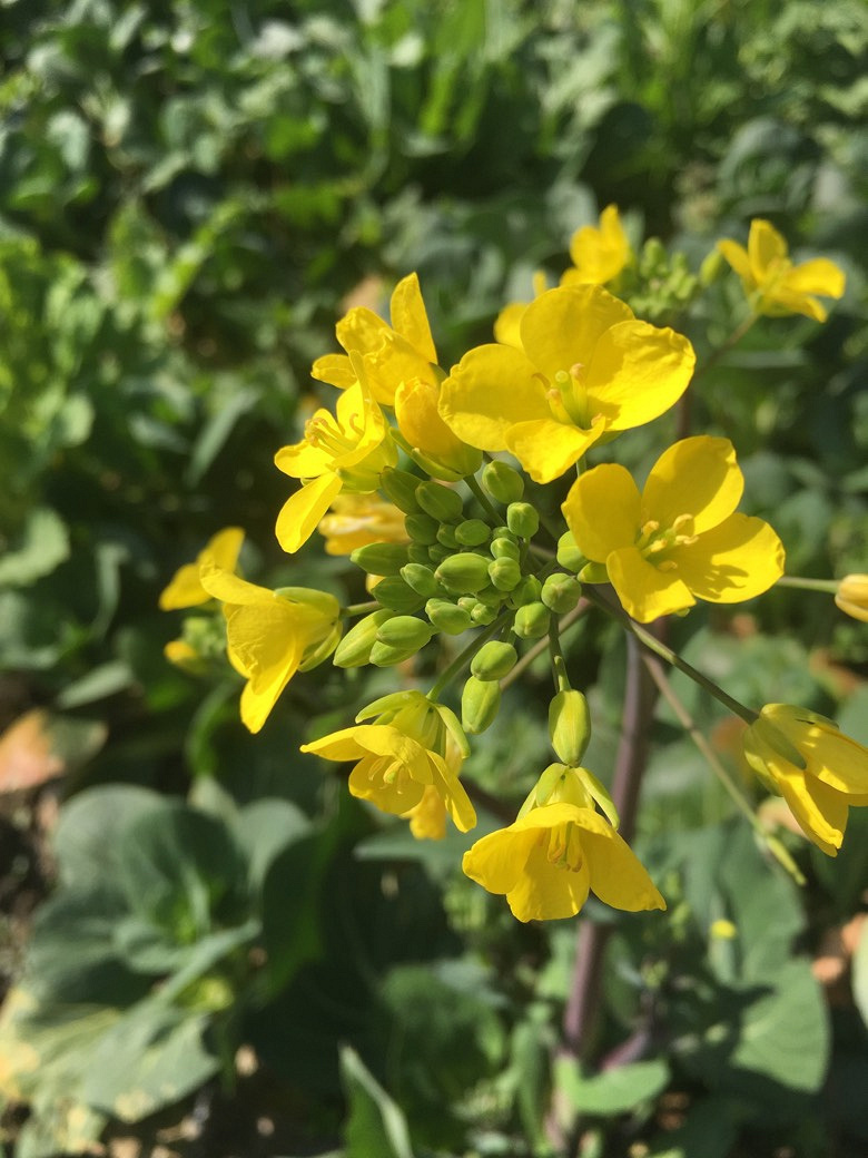 ��ů����