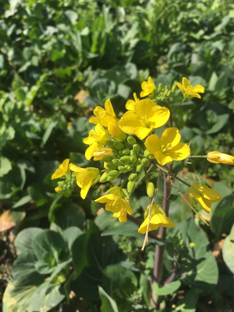 ��ů����