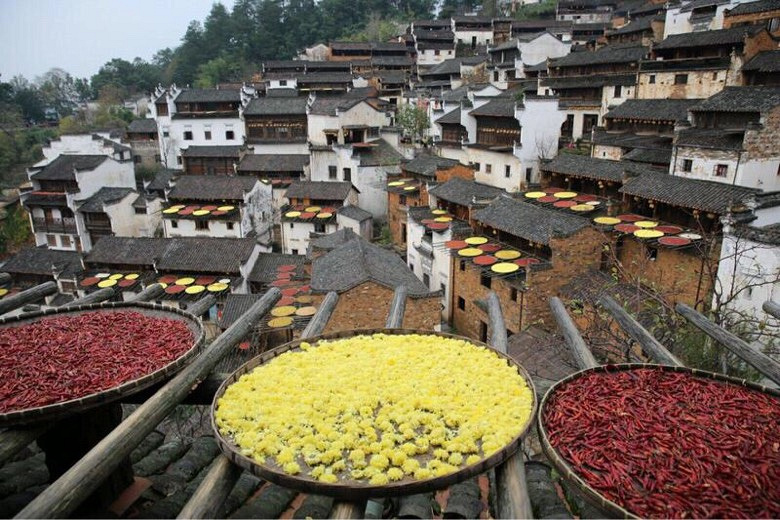 ��Բ����