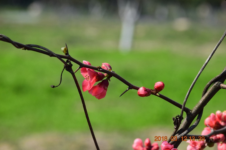 ���������߲�������