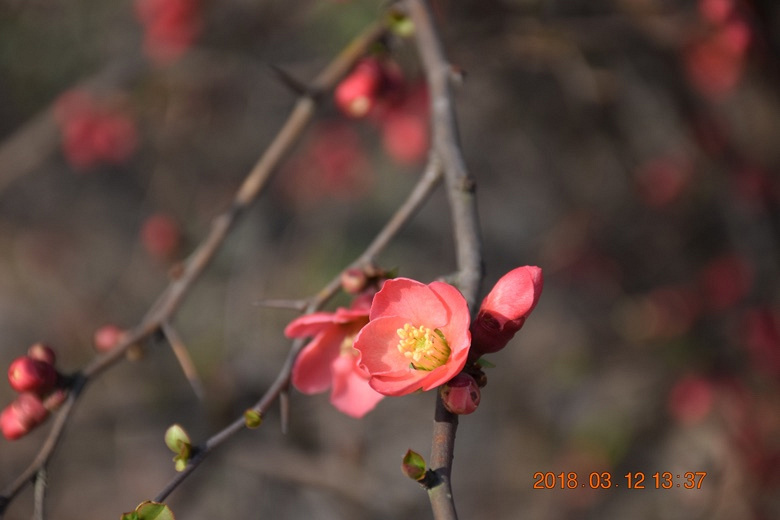 ���������߲�������