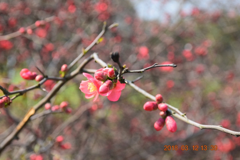 ���������߲�������