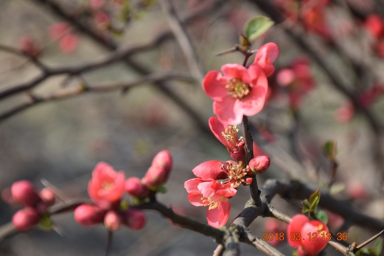 ���������߲�������