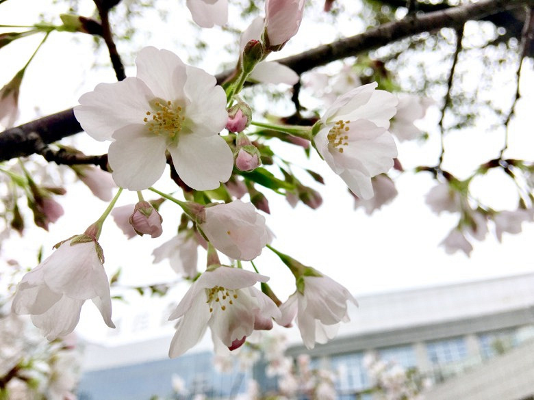 �̲�סҲ����������