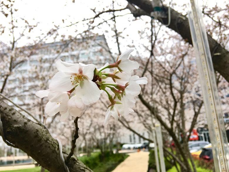 �̲�סҲ����������