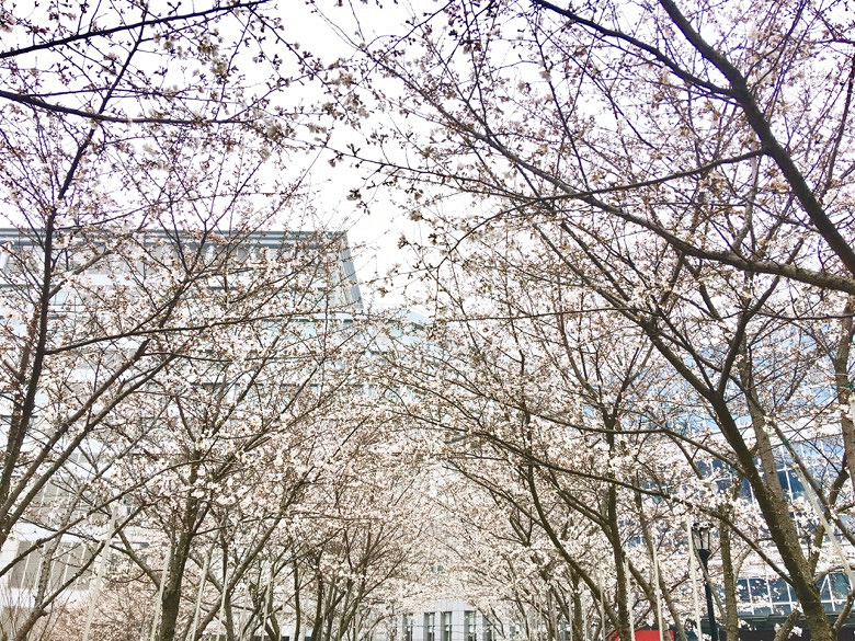 �̲�סҲ����������