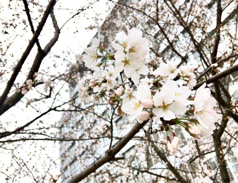 �̲�סҲ����������