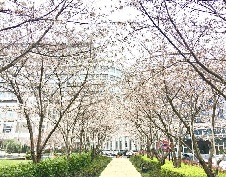 �̲�סҲ����������