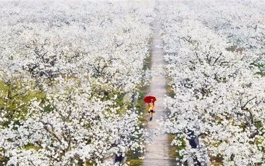 �����滨����