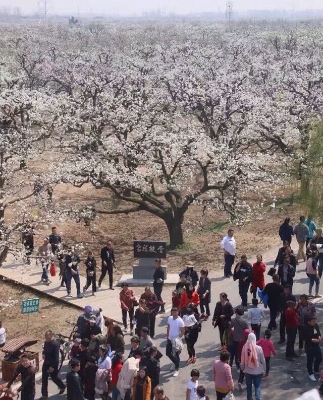 �����滨����