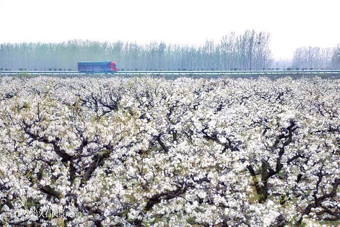 �����滨����