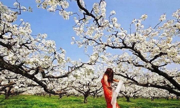 �����滨����