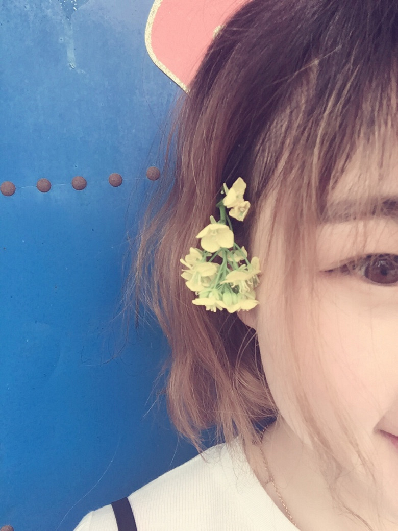 ����ȥ����Ƭ�Ͳ˻���