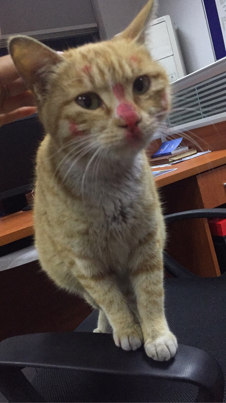 �����˵��һ�ױ^_^��