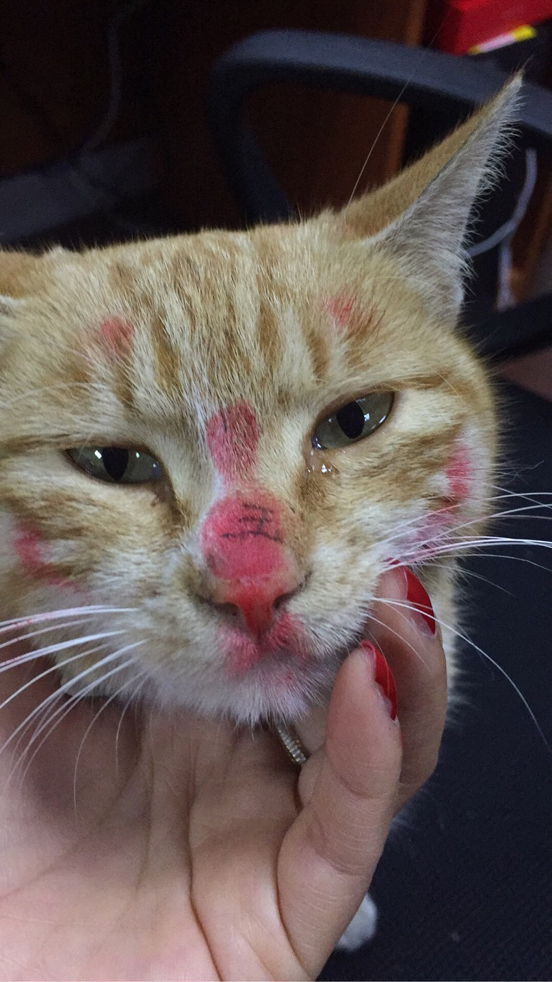 �����˵��һ�ױ^_^��