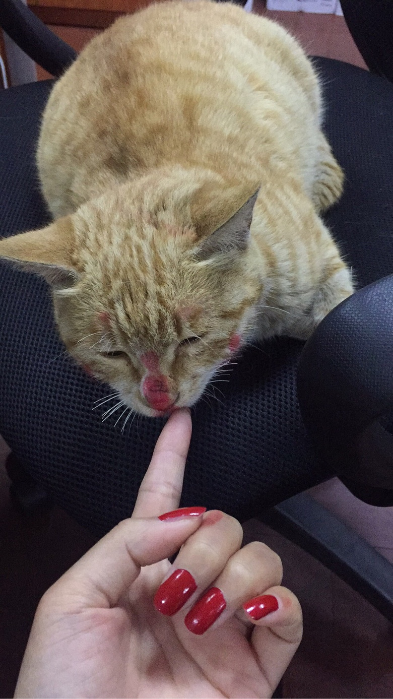 �����˵��һ�ױ^_^��