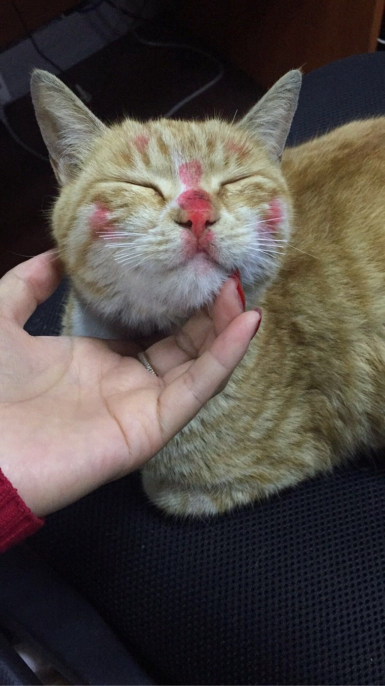 �����˵��һ�ױ^_^��