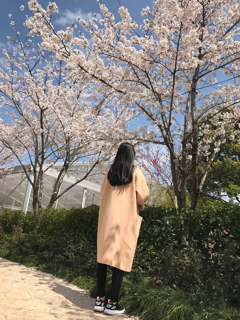 �������Ĵ�ɫ�����žƵ��԰ȡ��