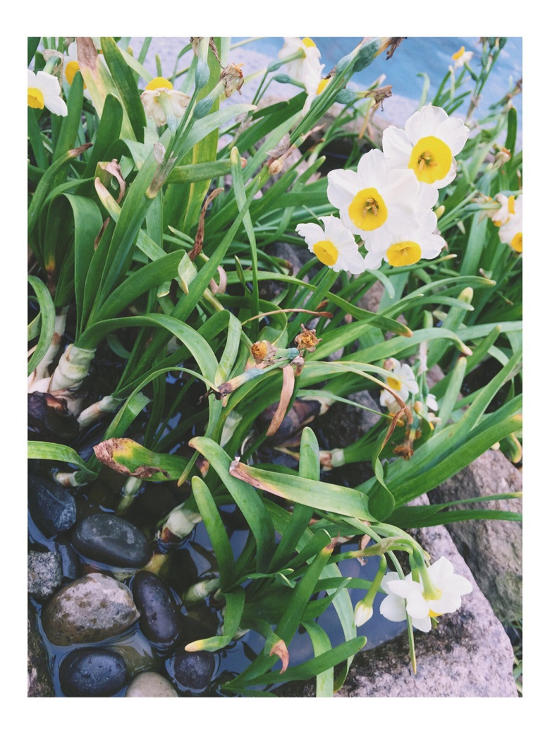 �������Ĵ�ɫ��+����ƪ