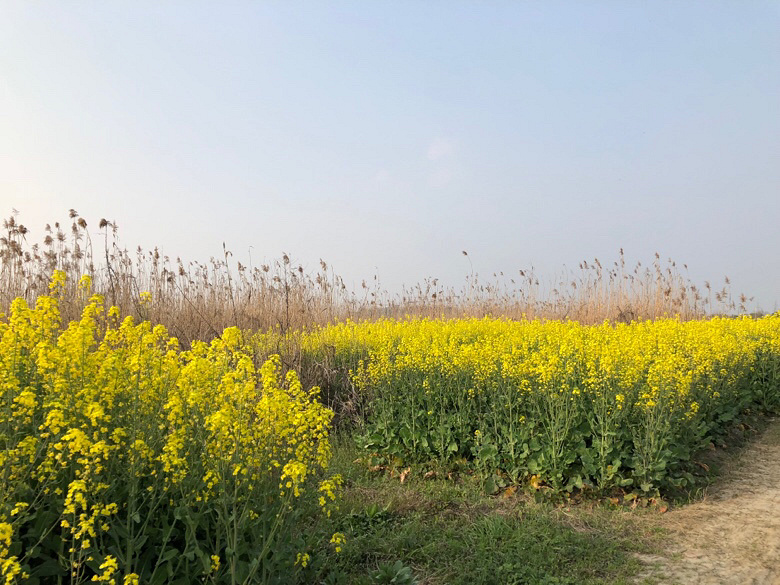 �������Ĵ�ɫ��+�Ͳ˻�